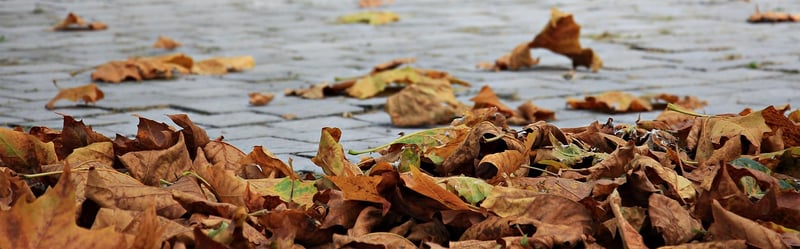 Camping in Autumn
